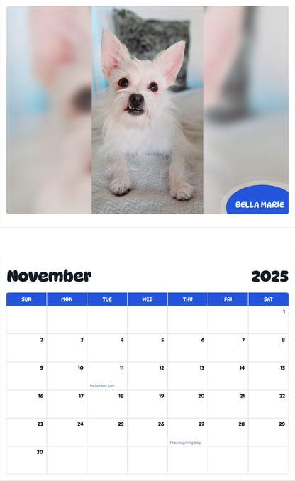 July 2025 - June 2026 BELLA MARIE - Pawidols Pet Calendar