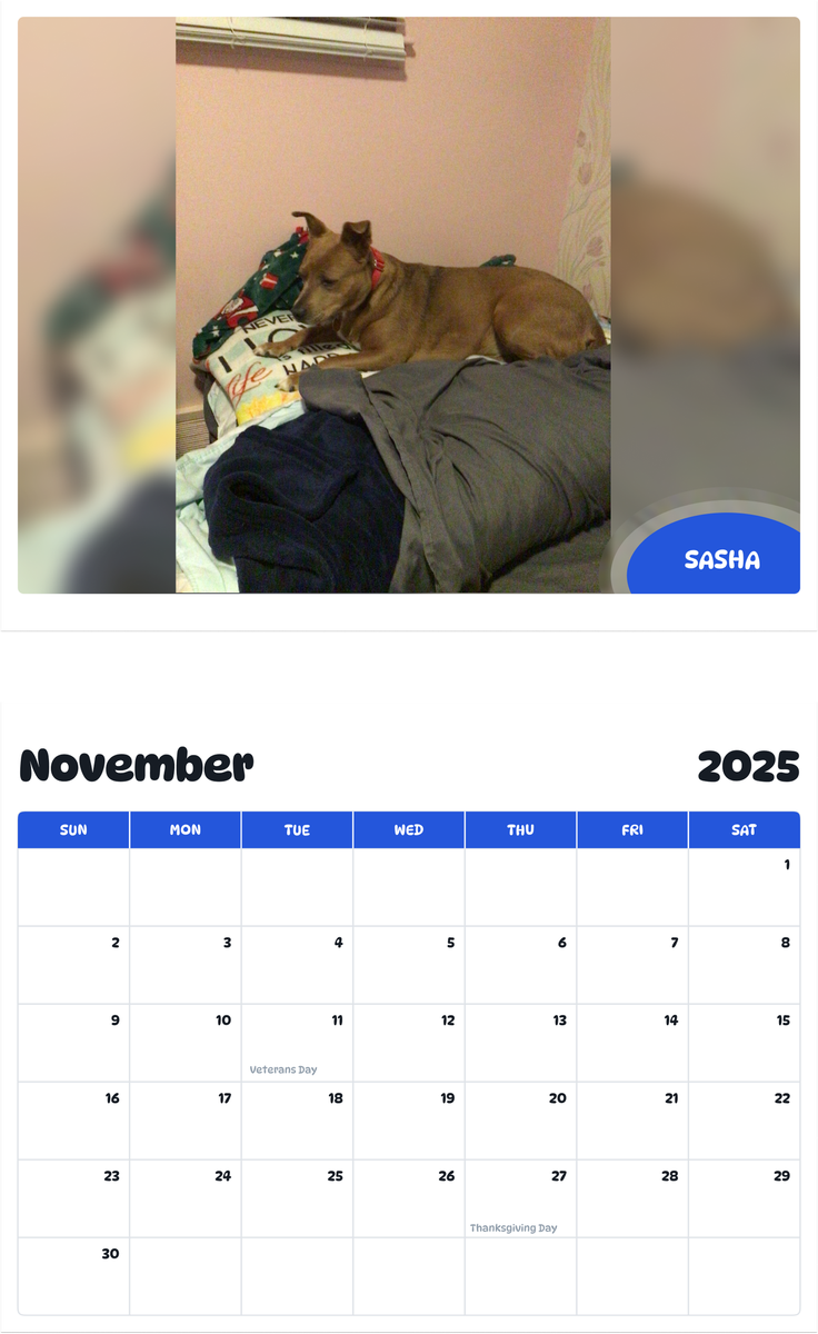 July 2025 - June 2026 Sasha - Pawidols Pet Calendar