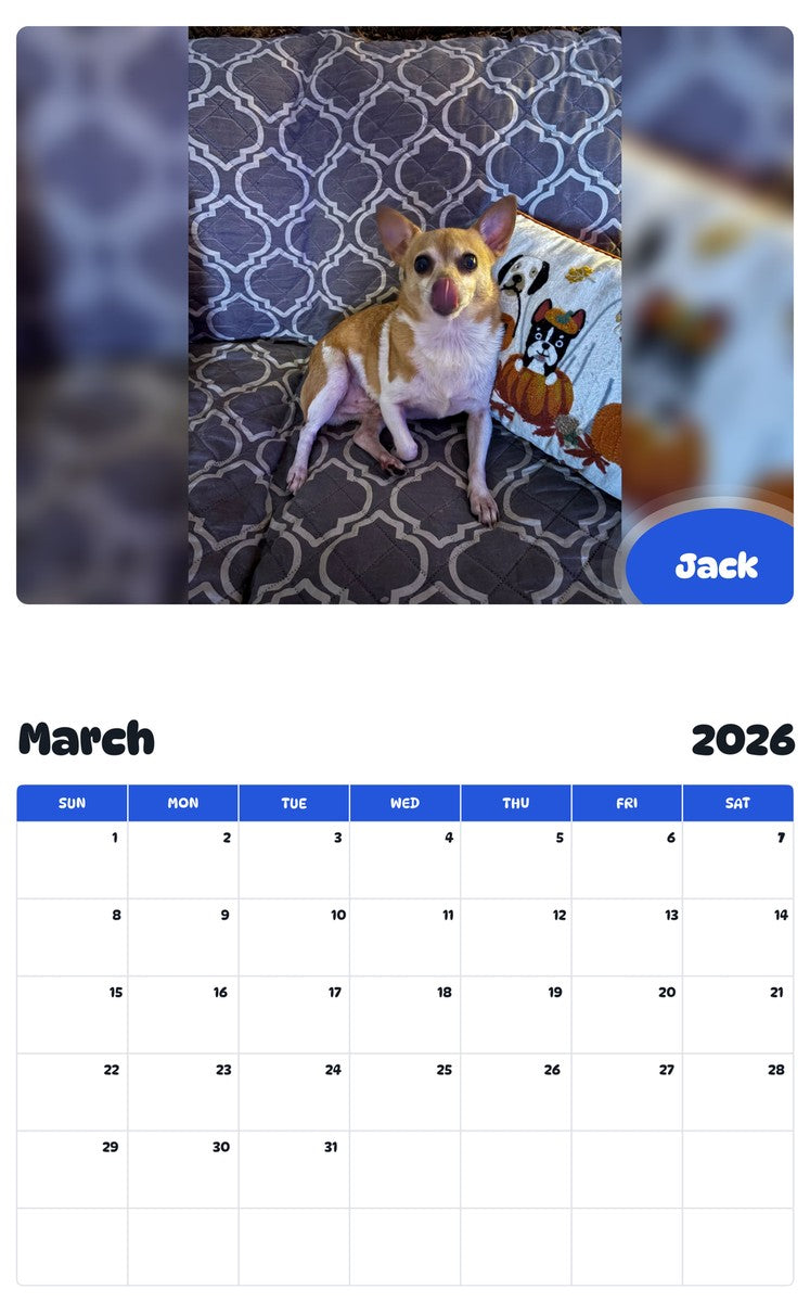November 2025 - October 2026 Jack - Pawidols Pet Calendar