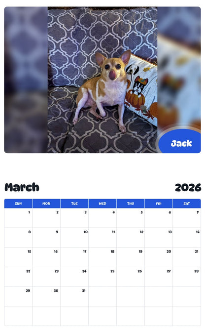 November 2025 - October 2026 Jack - Pawidols Pet Calendar