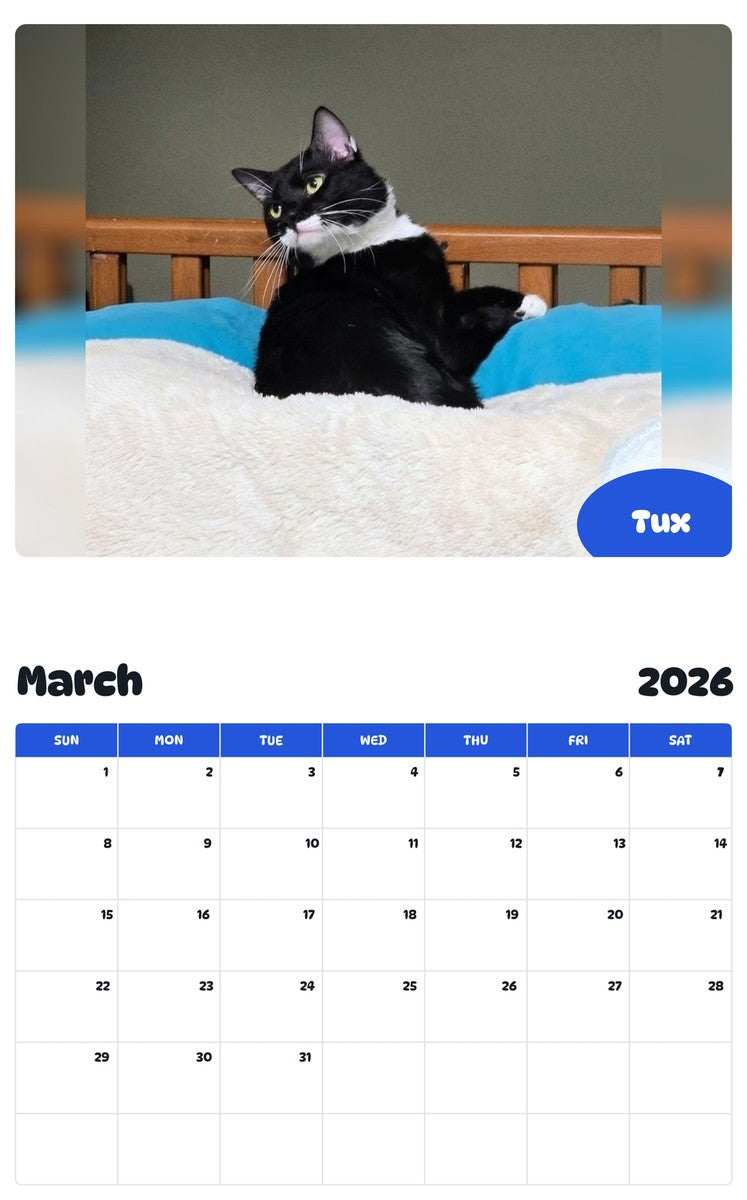 November 2025 - October 2026 Tux - Pawidols Pet Calendar