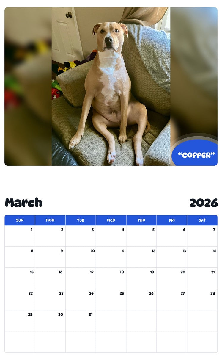 November 2025 - October 2026 “COPPER” - Pawidols Pet Calendar