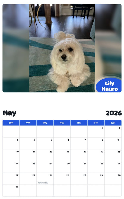 2026 - 2027 Lily Mauro - Pawidols Pet Calendar