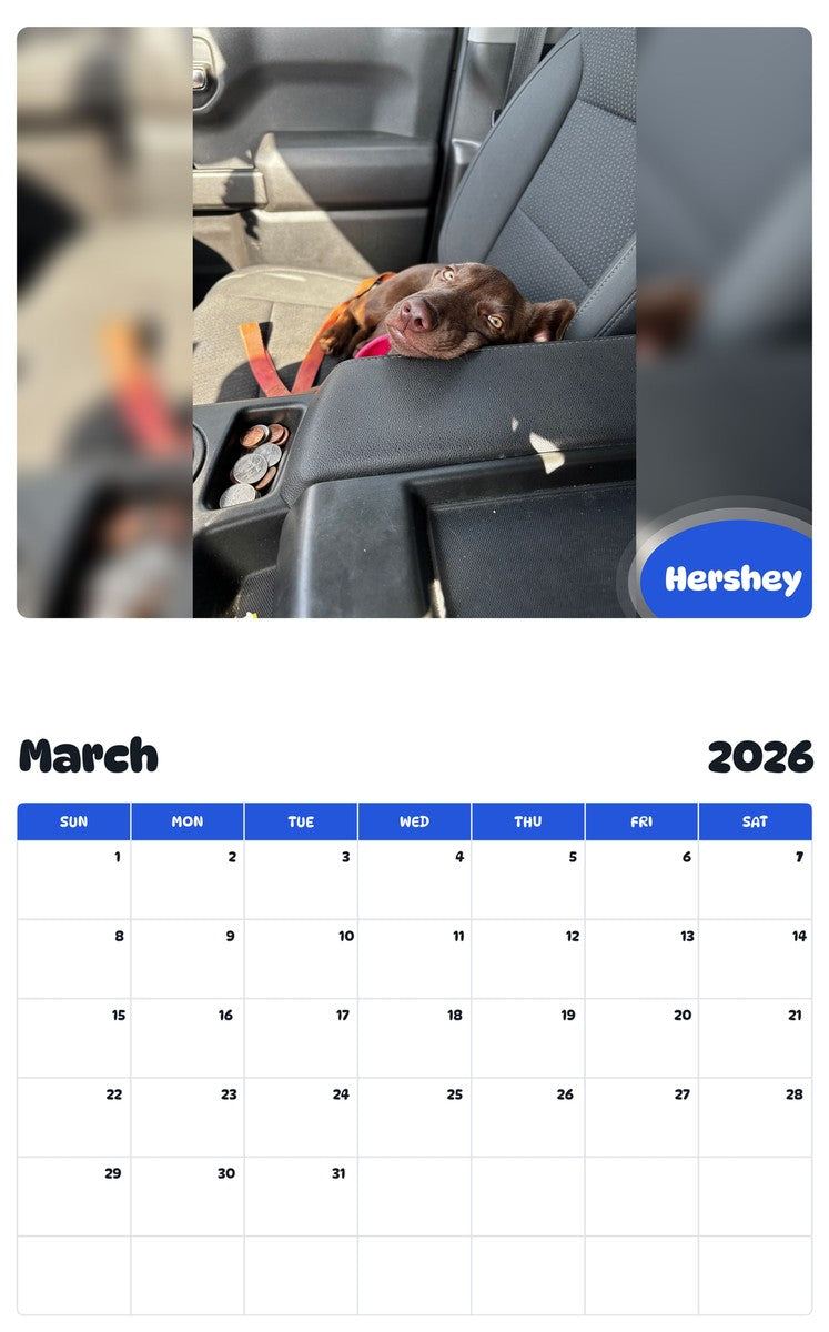 November 2025 - October 2026 Hershey - Pawidols Pet Calendar