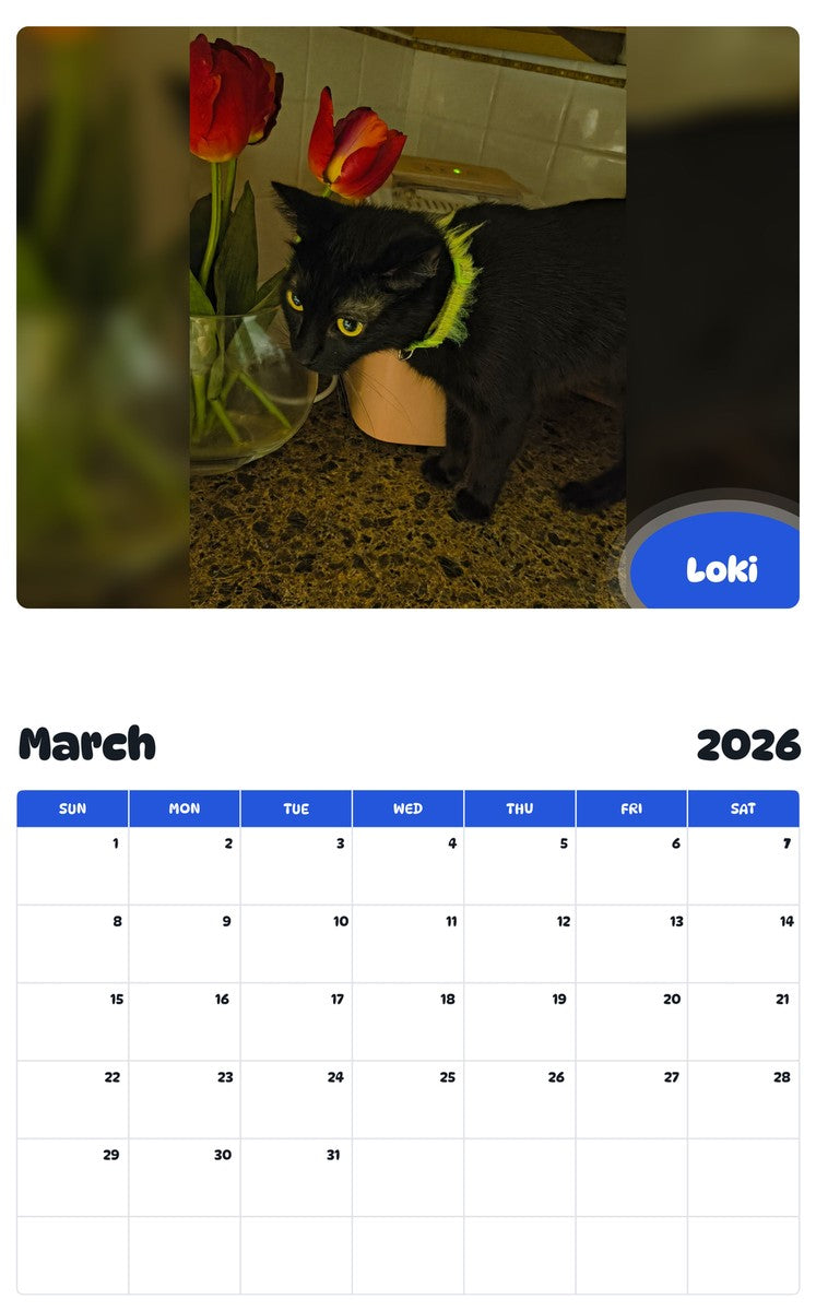 November 2025 - October 2026 Loki - Pawidols Pet Calendar