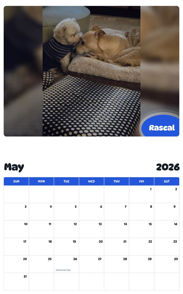 2026 - 2027 Rascal - Pawidols Pet Calendar