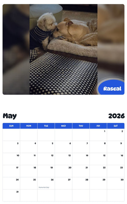 2026 - 2027 Rascal - Pawidols Pet Calendar