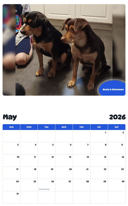 2026 - 2027 Rosie & Cinnamon - Pawidols Pet Calendar
