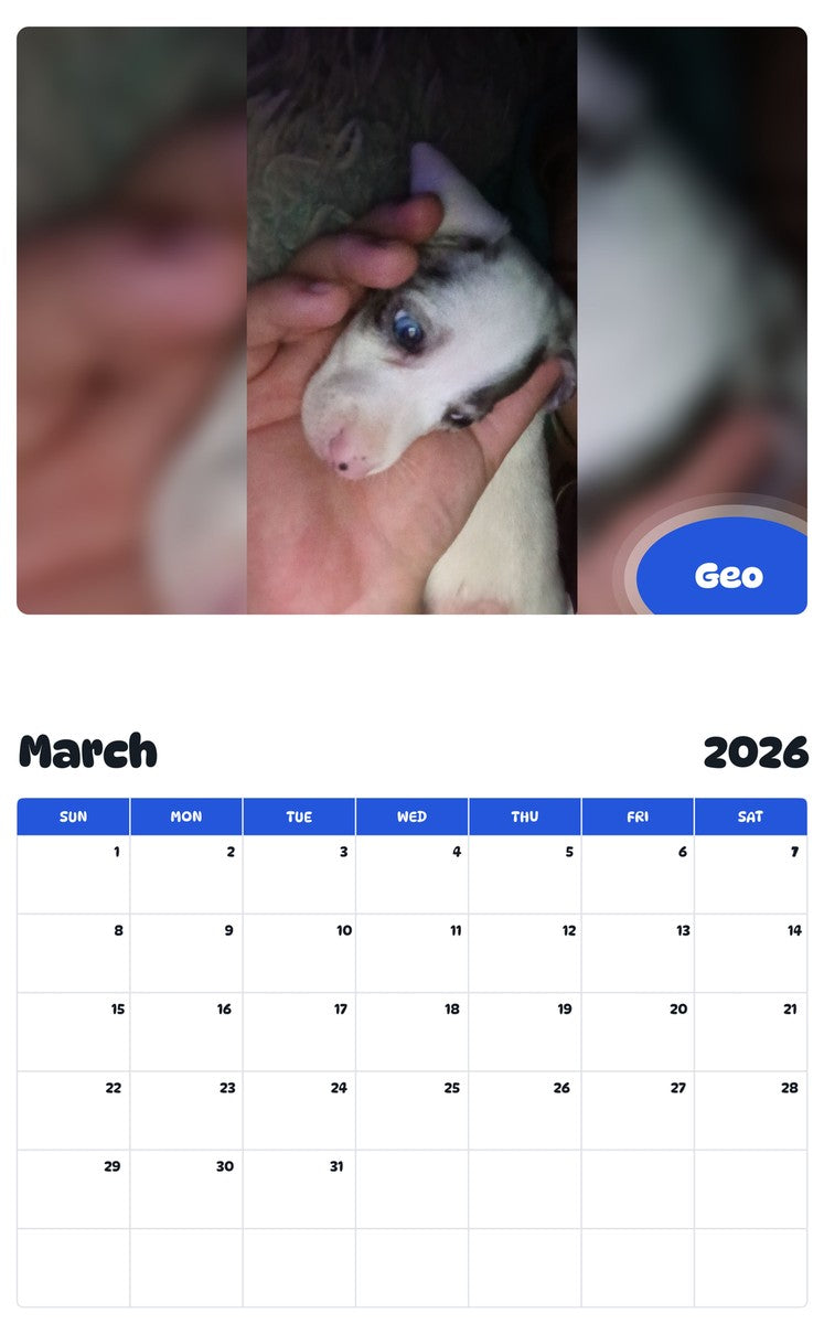November 2025 - October 2026 Geo - Pawidols Pet Calendar