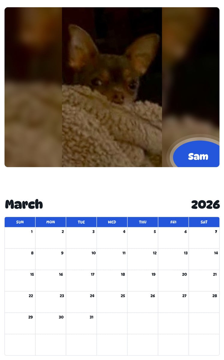 November 2025 - October 2026 Sam - Pawidols Pet Calendar