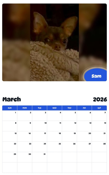November 2025 - October 2026 Sam - Pawidols Pet Calendar