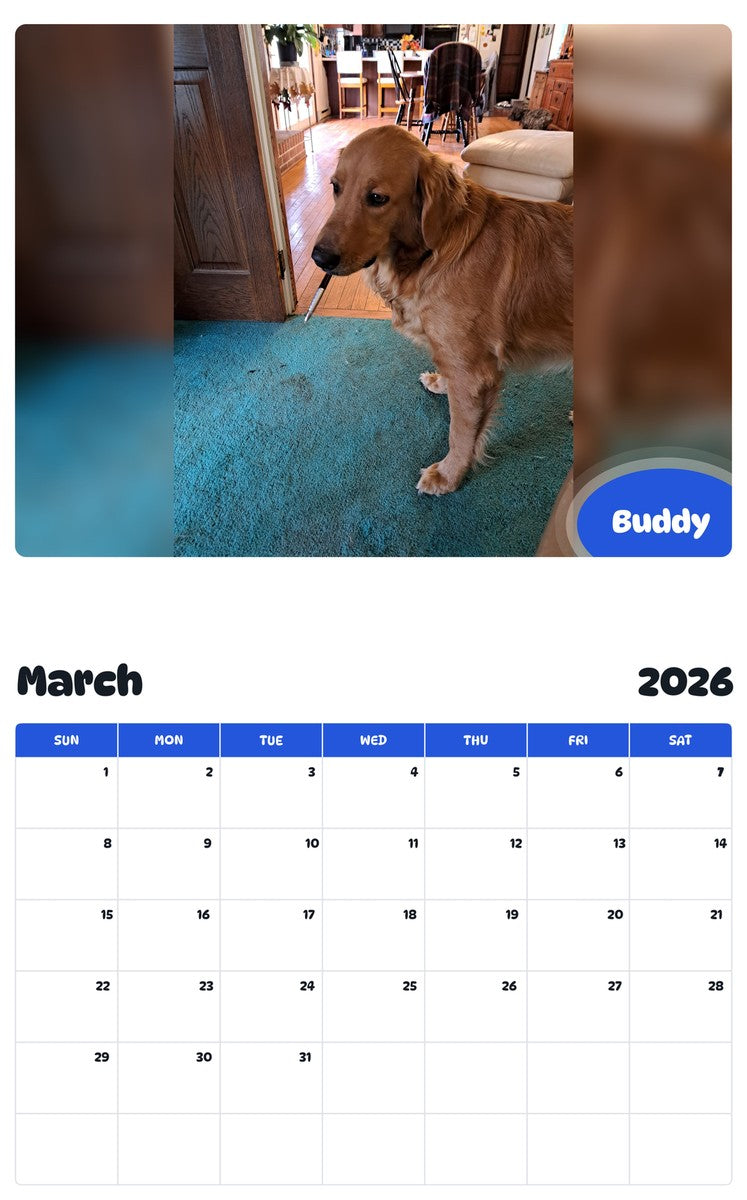 November 2025 - October 2026 Buddy - Pawidols Pet Calendar