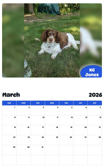 November 2025 - October 2026 KC Jones - Pawidols Pet Calendar