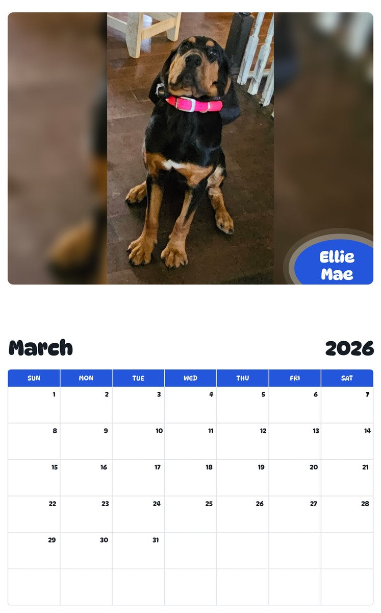 November 2025 - October 2026 Ellie Mae - Pawidols Pet Calendar
