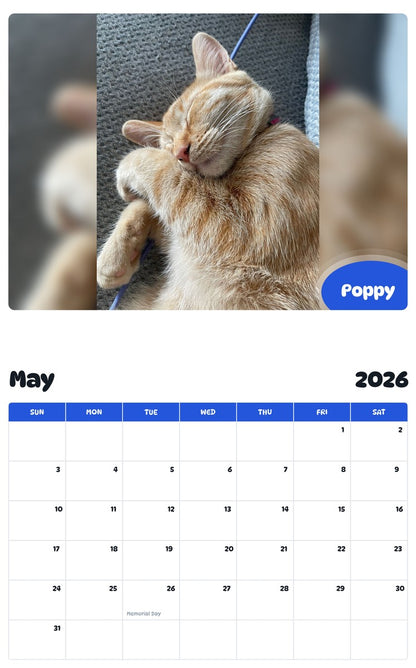 2026 - 2027 Poppy - Pawidols Pet Calendar