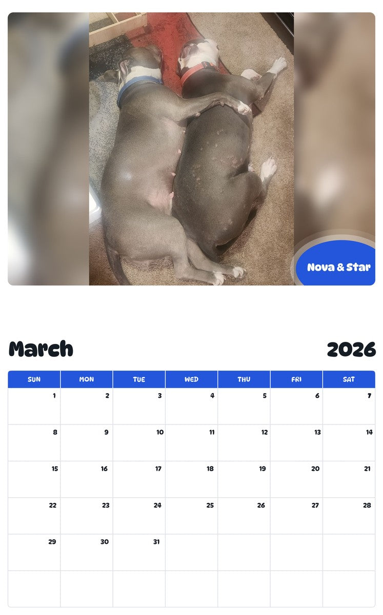 November 2025 - October 2026 Nova & Star - Pawidols Pet Calendar