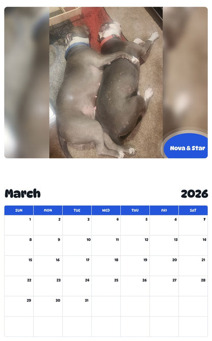 November 2025 - October 2026 Nova & Star - Pawidols Pet Calendar