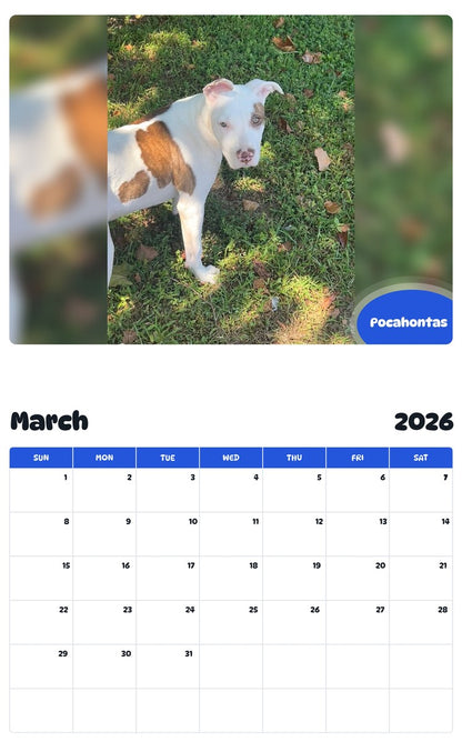 November 2025 - October 2026 Pocahontas - Pawidols Pet Calendar