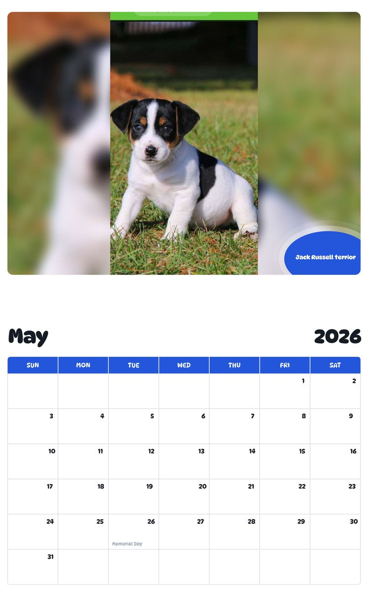2026 - 2027 Jack Russell terrior - Pawidols Pet Calendar