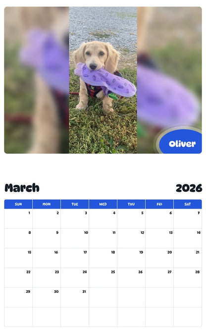 November 2025 - October 2026 Oliver - Pawidols Pet Calendar