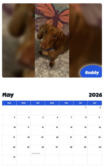 2026 - 2027 Buddy - Pawidols Pet Calendar