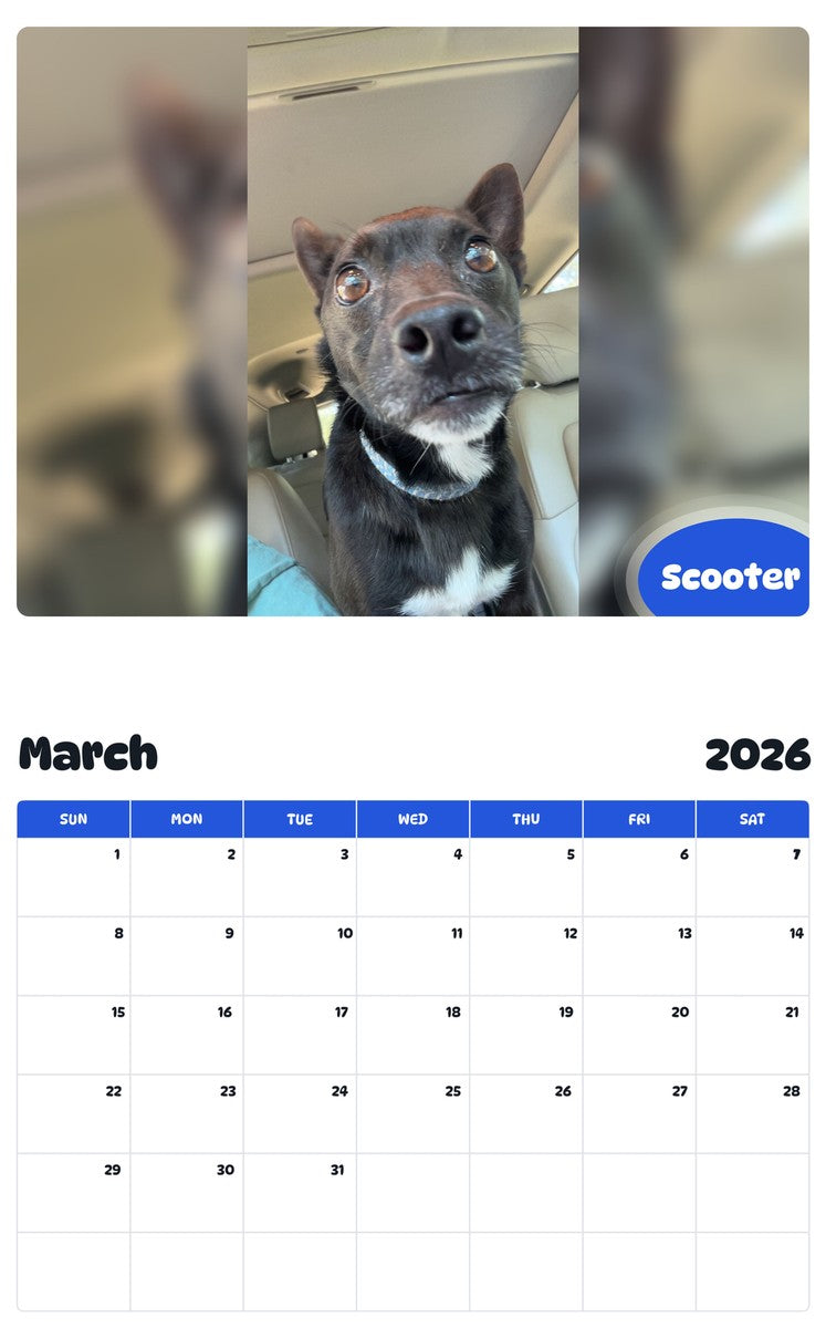 November 2025 - October 2026 Scooter - Pawidols Pet Calendar
