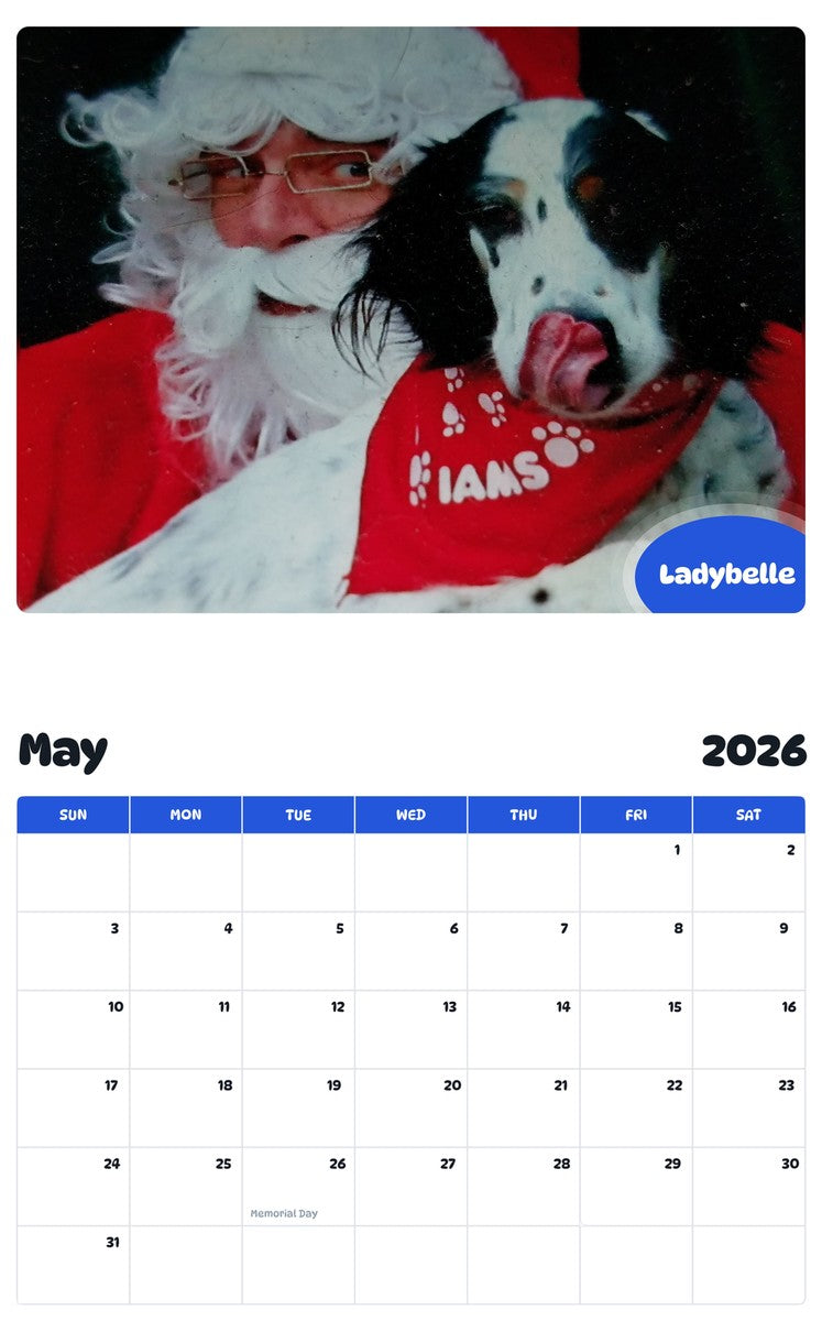 2026 - 2027 Ladybelle - Pawidols Pet Calendar