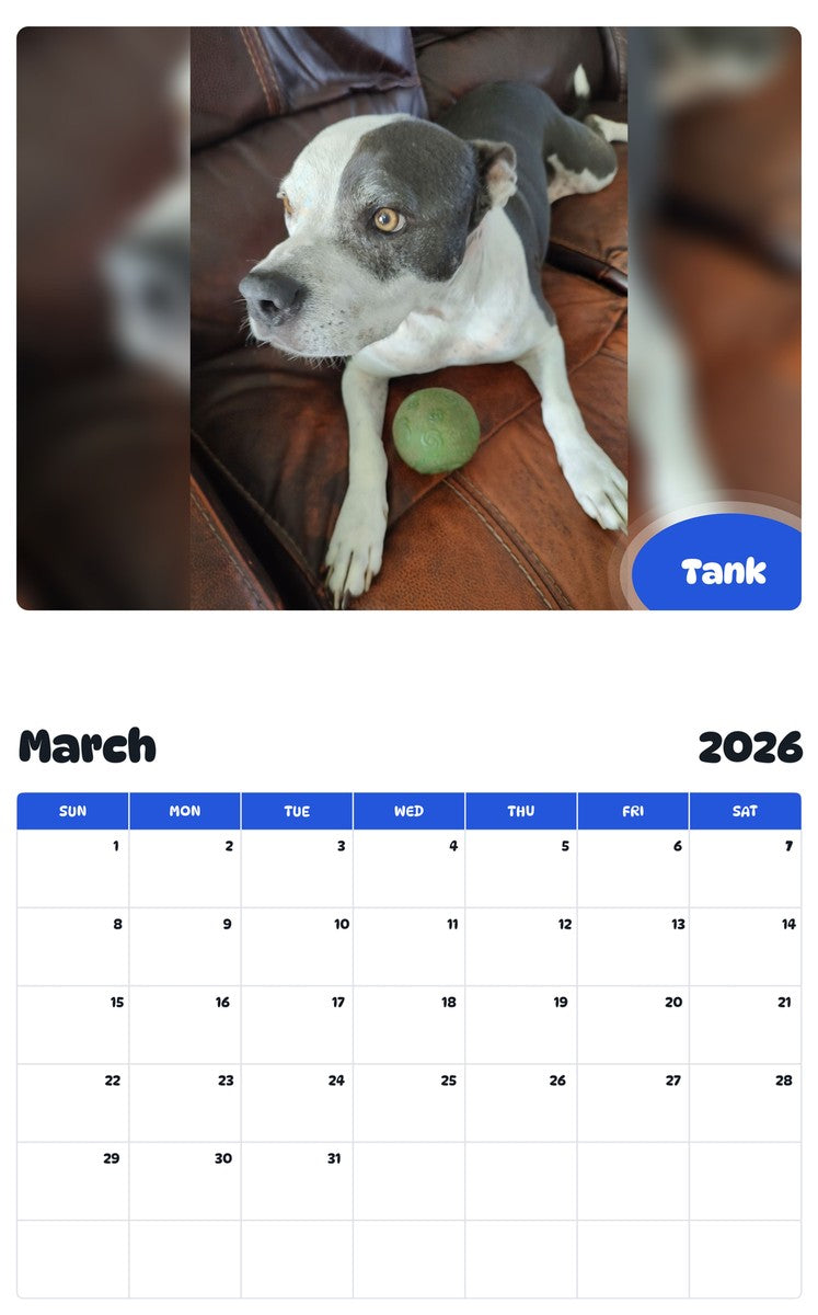 November 2025 - October 2026 Tank - Pawidols Pet Calendar