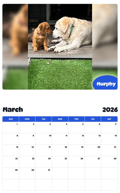 November 2025 - October 2026 Murphy - Pawidols Pet Calendar