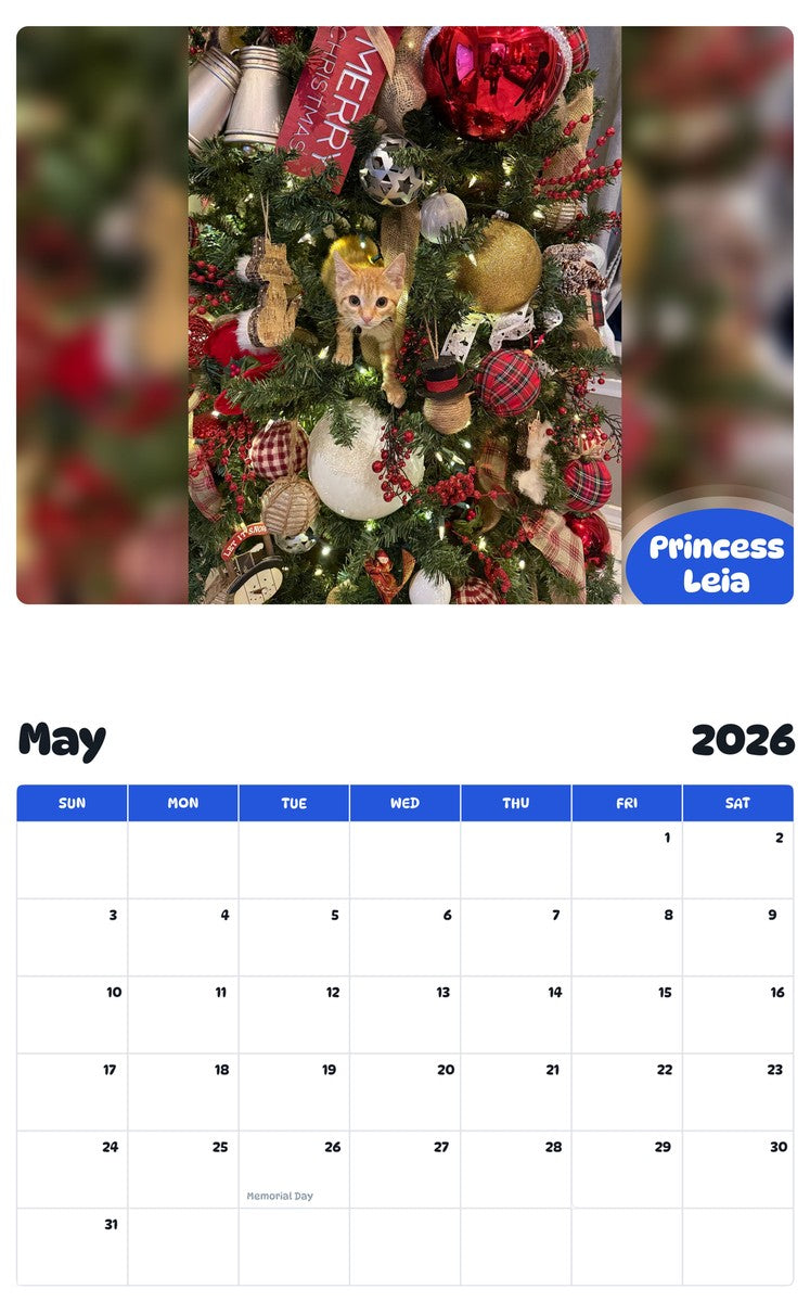 2026 - 2027 Princess Leia - Pawidols Pet Calendar
