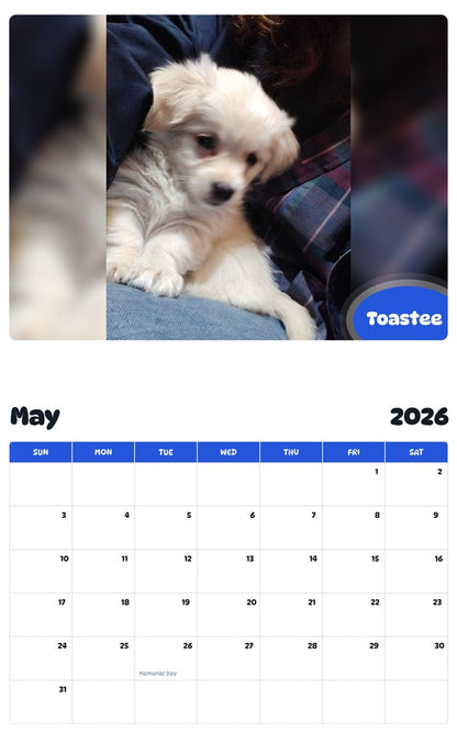 2026 - 2027 Toastee - Pawidols Pet Calendar