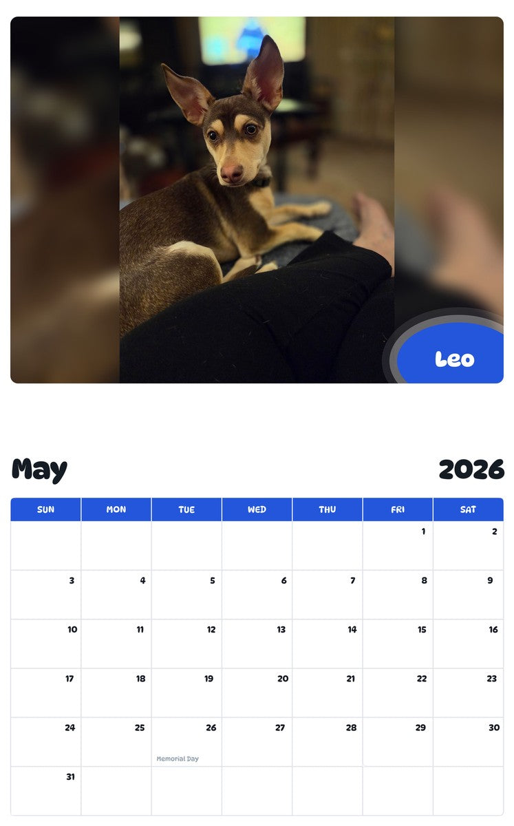 2026 - 2027 Leo - Pawidols Pet Calendar