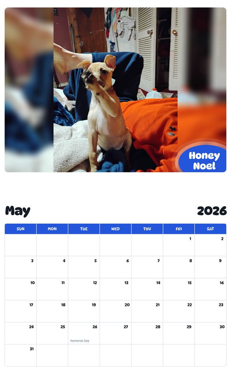 2026 - 2027 Honey Noel - Pawidols Pet Calendar