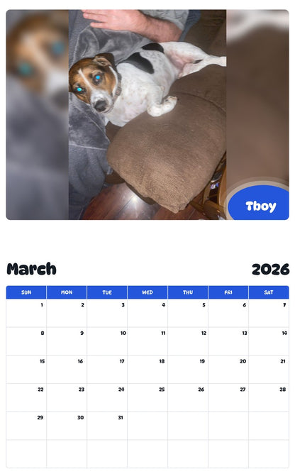November 2025 - October 2026 Tboy - Pawidols Pet Calendar