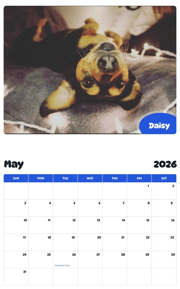 2026 - 2027 Daisy - Pawidols Pet Calendar