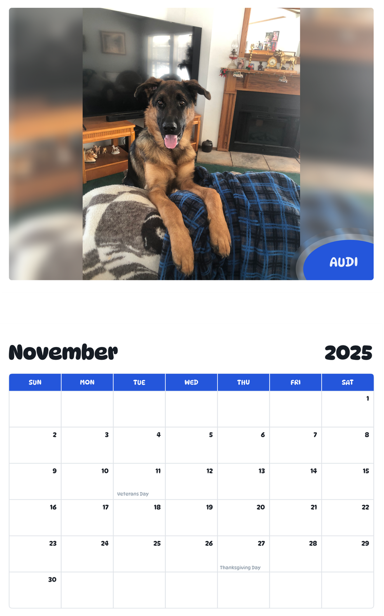 July 2025 - June 2026 Audi - Pawidols Pet Calendar