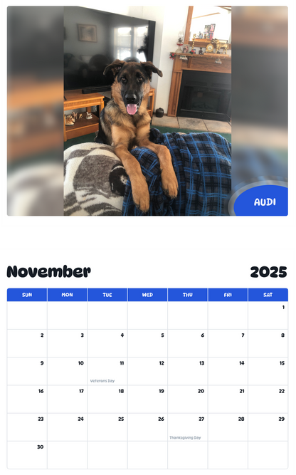 July 2025 - June 2026 Audi - Pawidols Pet Calendar