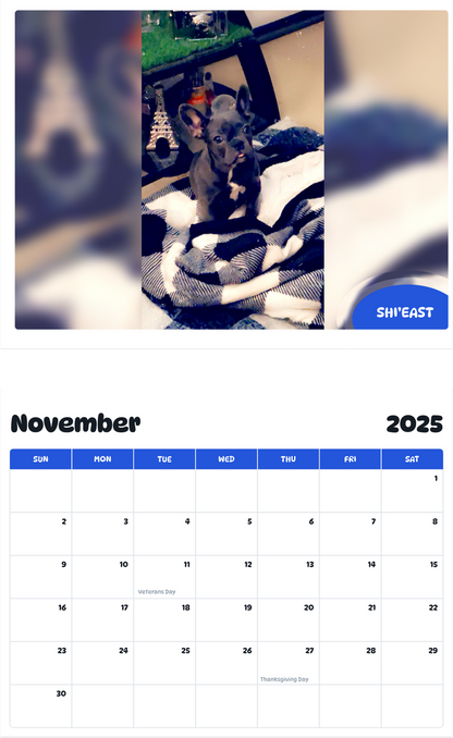 July 2025 - June 2026 Shi’east - Pawidols Pet Calendar