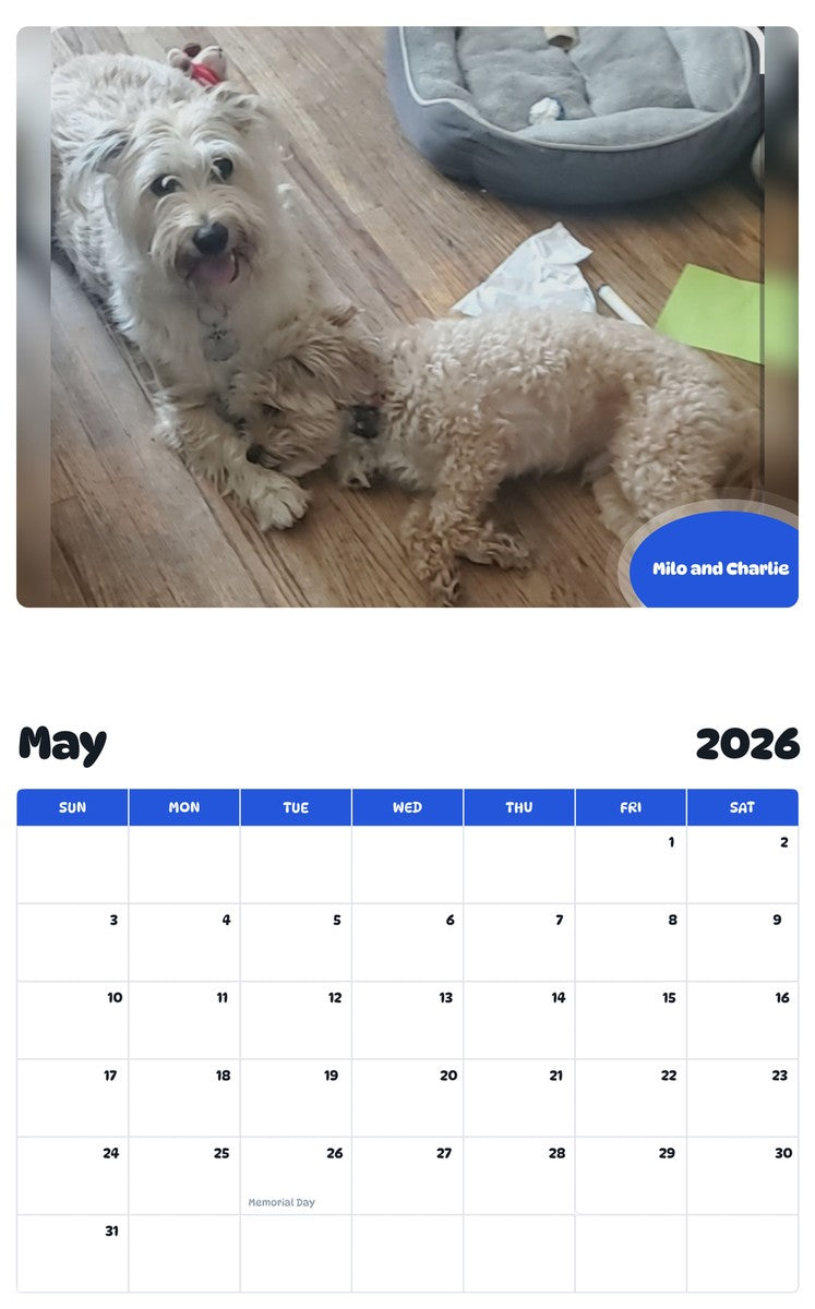 2026 - 2027 Milo and Charlie - Pawidols Pet Calendar