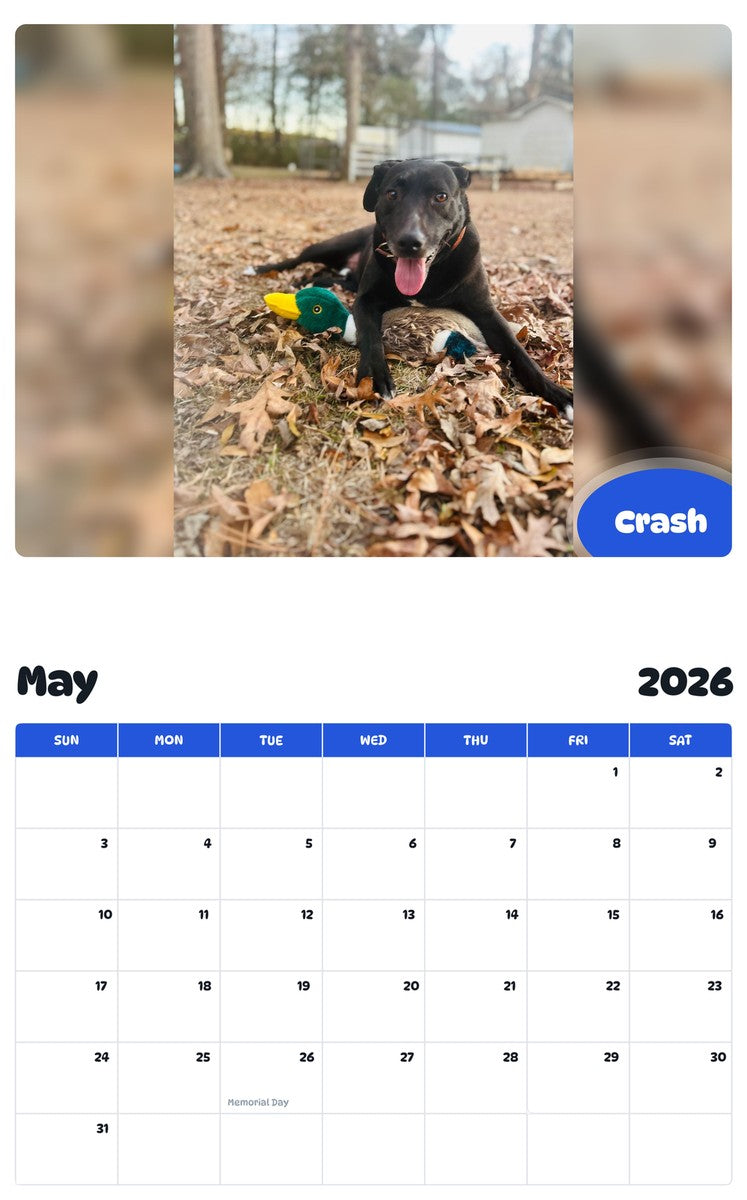 2026 - 2027 Crash - Pawidols Pet Calendar