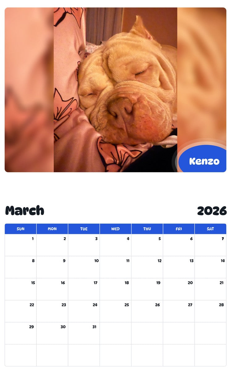 November 2025 - October 2026 Kenzo - Pawidols Pet Calendar