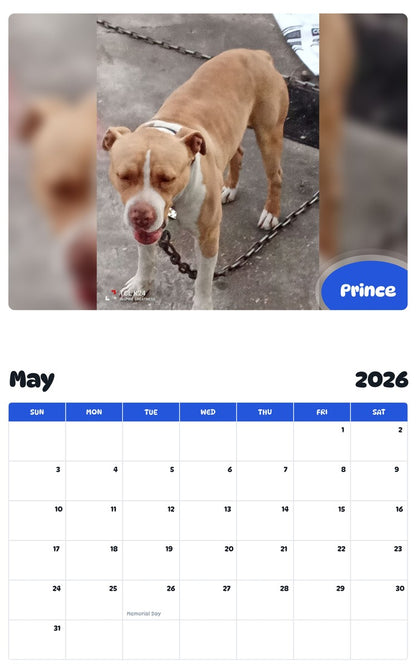 2026 - 2027 Prince - Pawidols Pet Calendar