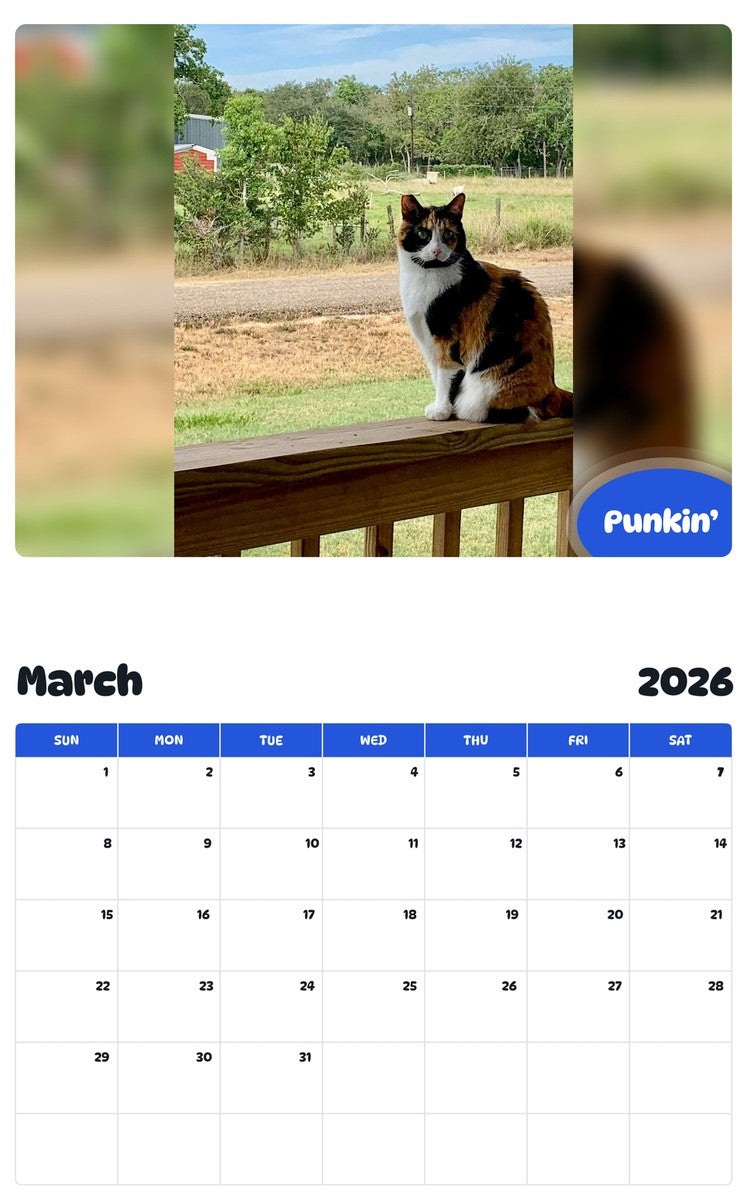 November 2025 - October 2026 Punkin’ - Pawidols Pet Calendar