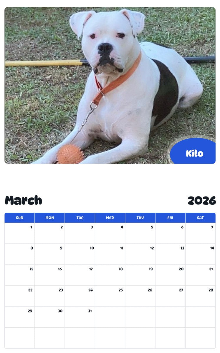 November 2025 - October 2026 Kilo - Pawidols Pet Calendar
