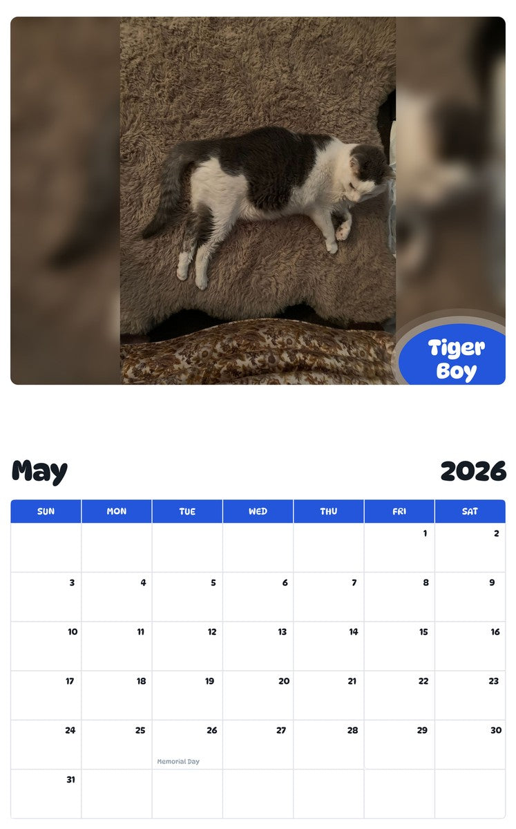 2026 - 2027 Tiger Boy - Pawidols Pet Calendar