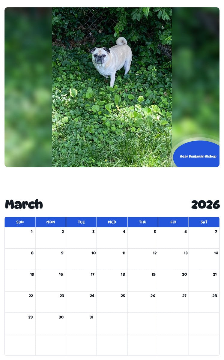 November 2025 - October 2026 Bear Benjamin Bishop - Pawidols Pet Calendar