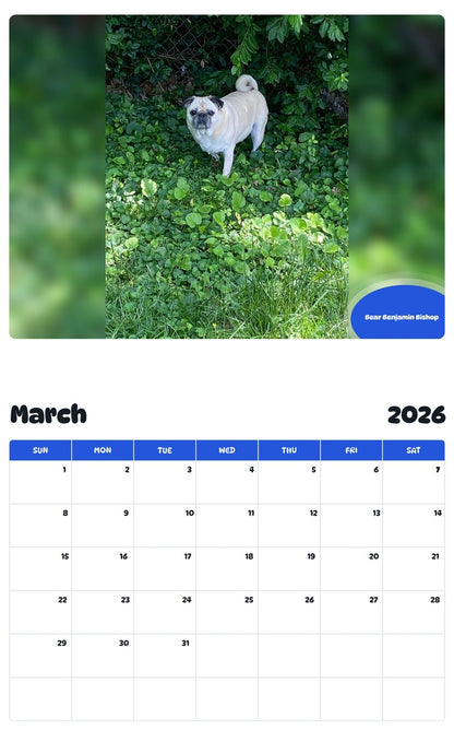 November 2025 - October 2026 Bear Benjamin Bishop - Pawidols Pet Calendar