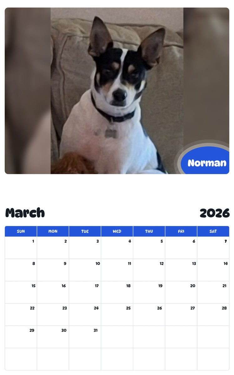November 2025 - October 2026 Norman - Pawidols Pet Calendar