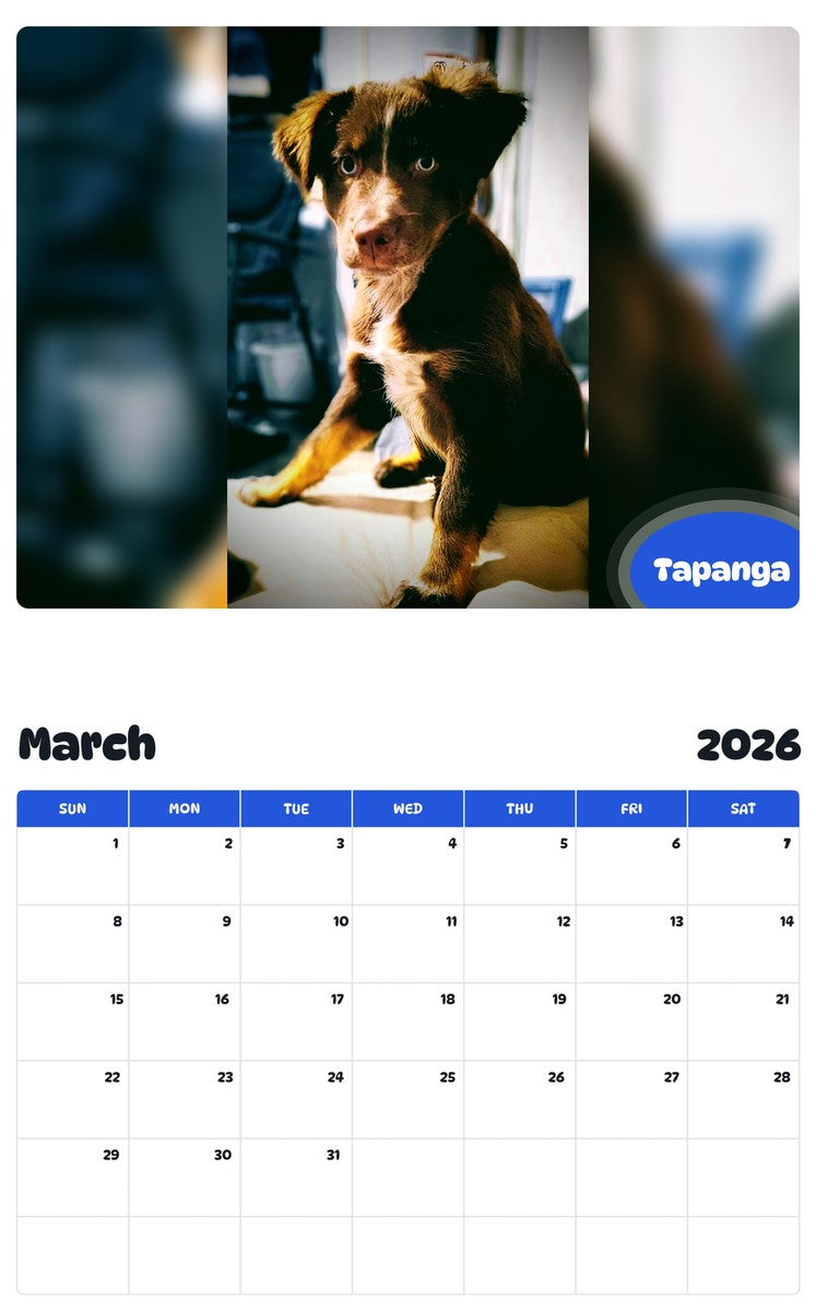 November 2025 - October 2026 Tapanga - Pawidols Pet Calendar