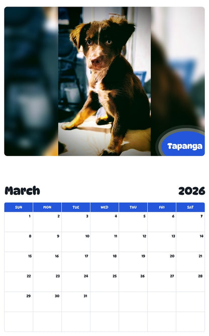 November 2025 - October 2026 Tapanga - Pawidols Pet Calendar